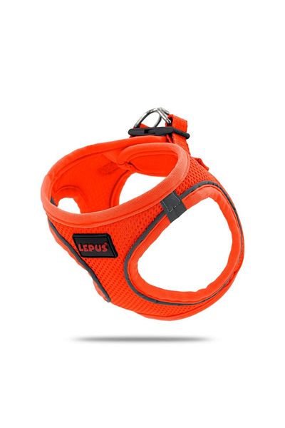 Lepus سترة صدر للقطط والكلاب باللون البرتقالي (xs)