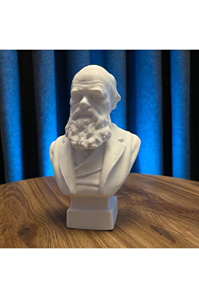Root Made Charles Darwin Büst 13cm Evrim Teorisi Dekoratif Figür