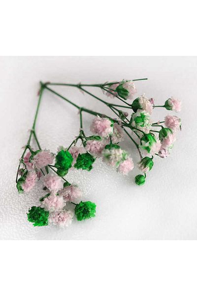 Acar Süs Flower Natural Cipso Pk: 50 Gr Green 1 Συσκευασία