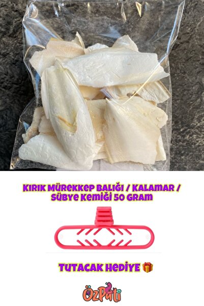 Özpati Kırık Kalamar Kemiği 50 Gr + Tutacak Hediyeli