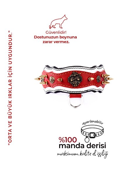 MgTasma El Işçiliği, Özel Tasarım, Hakiki Manda Derisi, Thor Serisi Dikenli Köpek Tasması, Boyun Tasması