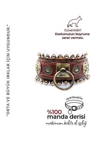 MgTasma El Işçiliği, Özel Tasarım, Hakiki Deri, Lion's Nest Kürklü Köpek Tasması, Boyun Tasması