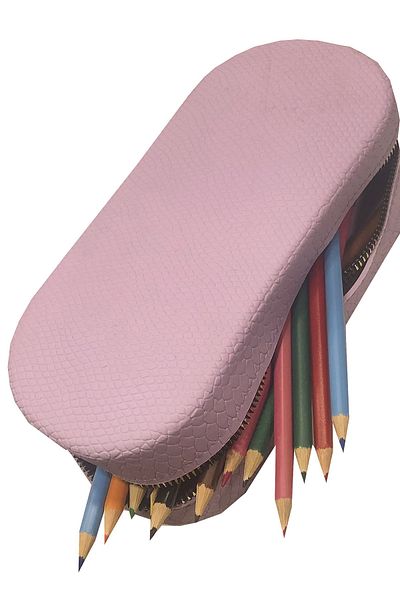 FLY COLOR Silicone Crocodile Patterned Large Both Pencil Case and Makeup Bag