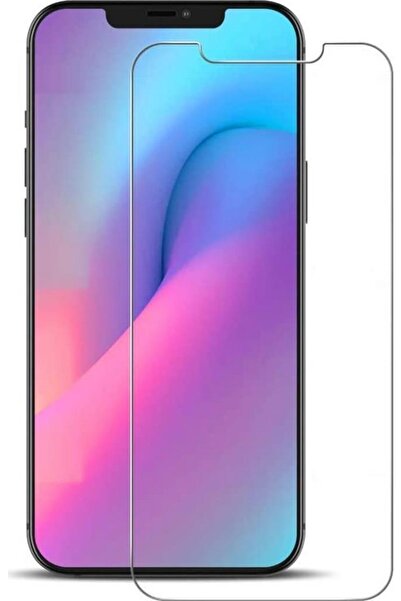 Case 4U Apple Iphone 12 Pro Max Ekran Koruyucu Sert Temperli Cam 9h Şeffaf