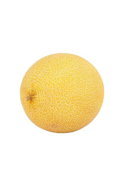 Sebze Meyve Dünyası Bal Kavun 1 kg