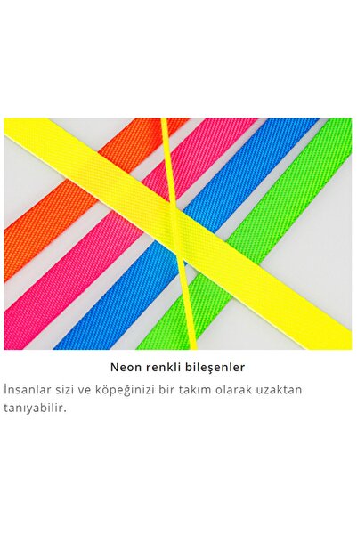 Flexi New Neon Şerit Uzayan Tasma