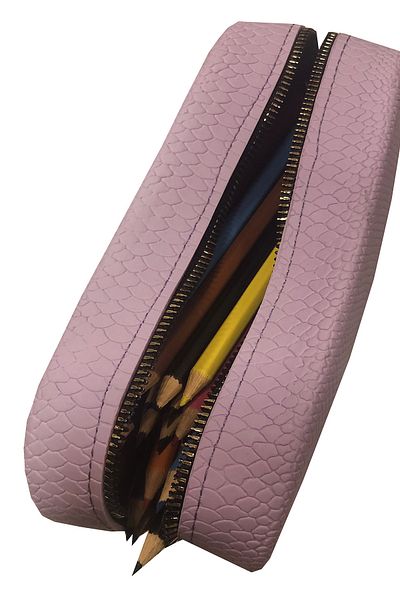 FLY COLOR Silicone Crocodile Patterned Large Both Pencil Case and Makeup Bag