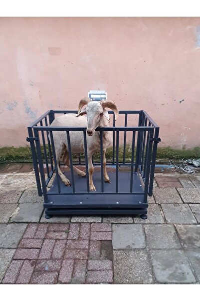 Demirtaş Tartı 70x90 Cm Küçükbaş Hayvan Baskülü Ve Kantarı 2 Yıl Garanti