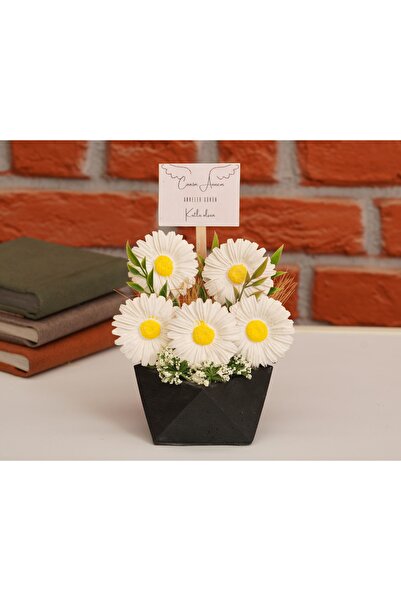 StoneGiftDesign Büyük Geometrik Taş Saksıda Asil Papatyalar Canım Annem Kokul...