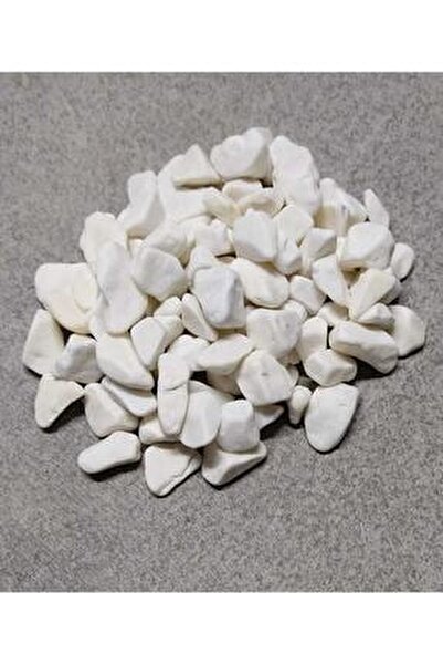 Mermaid Home Dolomit Tas 1 2 Cm Cakil Tasi 1 Kg Fiyati Yorumlari Trendyol