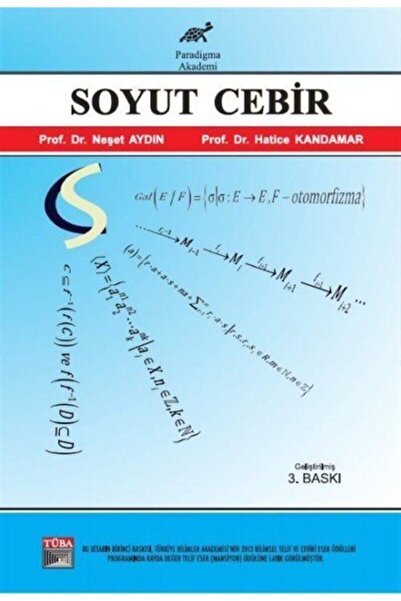 Paradigma Akademi Yayınları Soyut Cebir