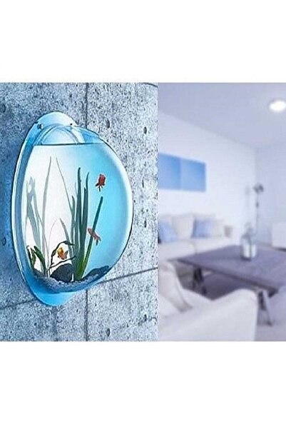 Mini Varium Minivarium Duvar Askılı Fanus