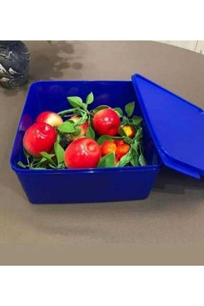 Tupperware حاوية تخزين مستطيلة ملونة 5 لتر