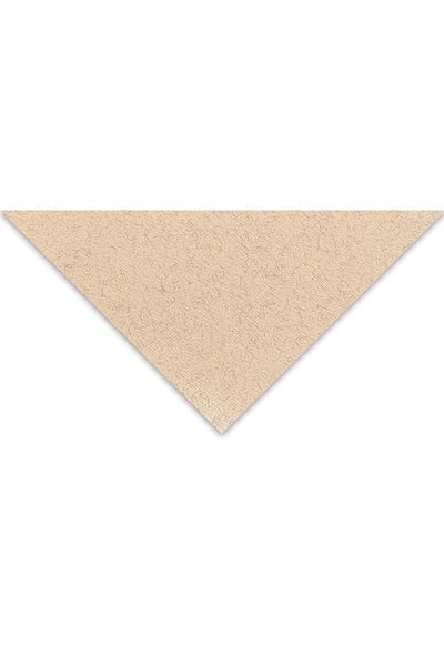 Fabriano Tiziano Multipurpose Paper 160 Gr.50x65 Cm 10-Pack Desert - Sahara