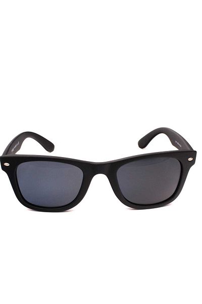 Swing Men's Polarized Sunglasses 101 C193 49