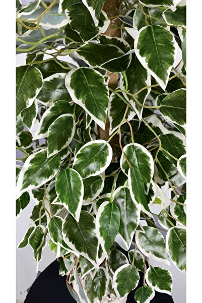 BİÇİÇEK Yapay Benjamin Ağacı 110cm Sarmaşık Detaylı