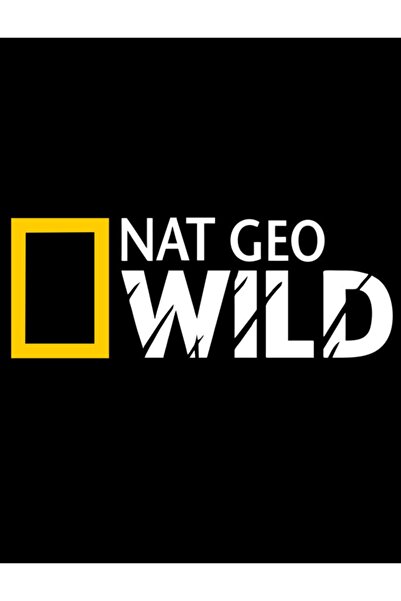 Melek Pazarı 2 Adet - 25 X 9 Cm Beyaz -nat Geo Wıld Oto Sticker, Araba Stickerı