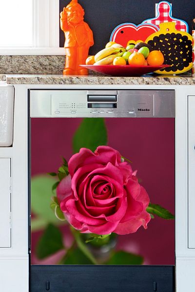 Tilki Dünyası Autocolant pentru ușa mașinii de spălat vase Rose Beauty BLSK 000068