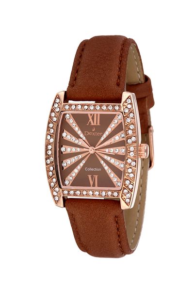Dexter Women's Wristwatch DX.321.3RCC
