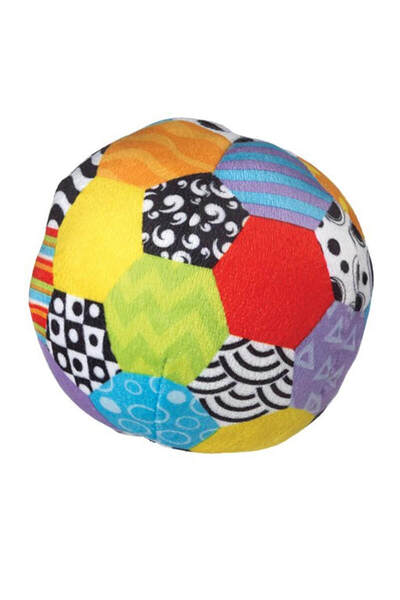 Playgro Mini Renkli Top