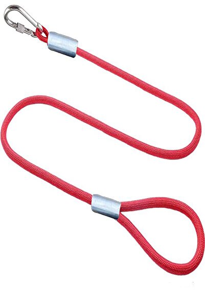 LİDERSAN ÇELİK Steel Pressed 1.5 Meter Dog Garden Tethering Travel Strap Delivery Strap Screw Carabiner (80 Kg)