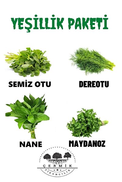 ÇERMİK FİDANCILIK Tohum Paketi Semizotu , Dere Otu , Nane ,maydanoz , 40 Gr