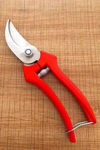 Aslan Vineyard Garden Pruning Shears M-2010