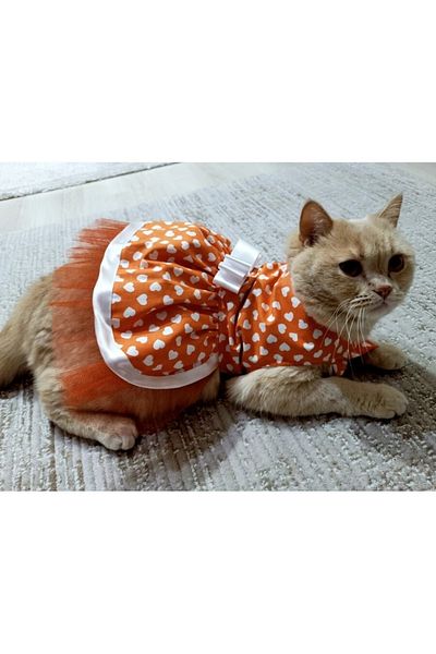 Gobo White Heart Patterned Bow Orange Cat Dog Outfit Dress