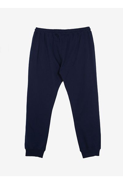U.S. Polo Assn. Ανδρικό αθλητικό παντελόνι Navy Blue Regular Fit - Bamatax