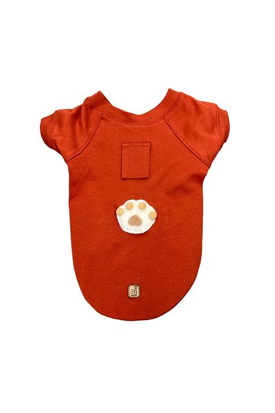 Bi Dolap Ponçik Paw Four Seasons Cream Paw Tile Cat Dog Outfit & T-Shirt
