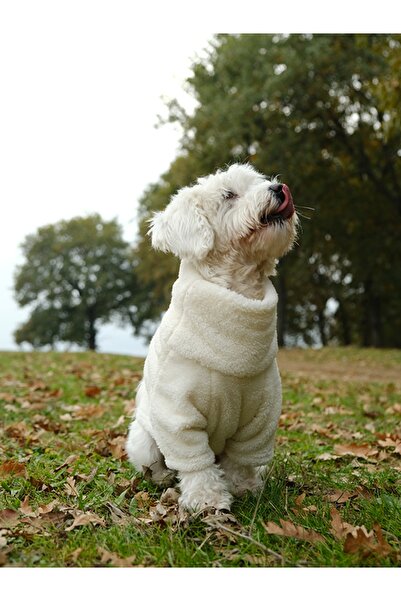 Peti Tailor Köpek Sweatshirt Boğazlı Beyaz Wellsoft Polar Küçük Ve Orta Irk K...