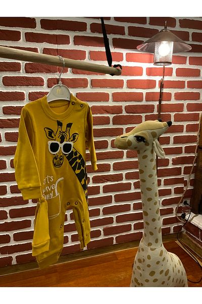 Shem 6 Months Giraffe Printed Jumpsuit