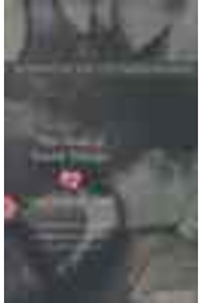 Harper Collins USA Ο Θεός των μικρών πραγμάτων