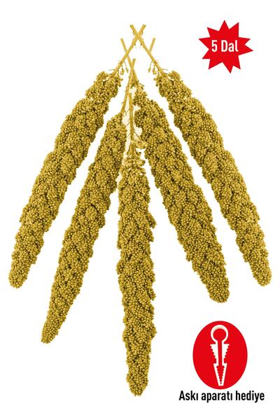 Vitafix Doğal Dal Darı - Tüm Kafes Kuşları Için Darı - Kuş Yemi - Yavru Kuşların Tüketimi Uygundur