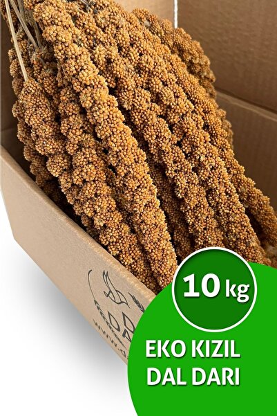 Dal Darı Net Kızıl Dal Darı Eko 10kg Muhabbet Kuş Yemi Kızıl Daldarı Ekdd-10
