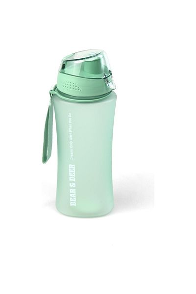 Bear & Deer Ice Water Green Detox Filtered Flask 480 Ml
