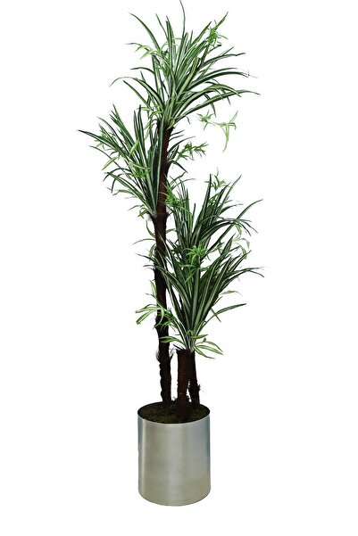 Cihan Çiçekçilik Tropik Küpeli 180 Cm Yapay Ağaç 25x25 Metal Saksı