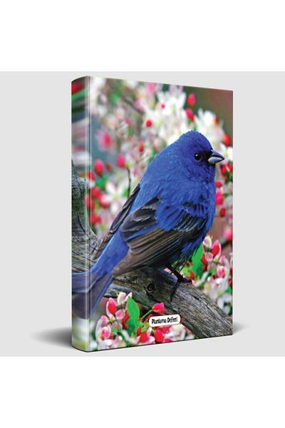 Halk Kitabevi Perspectivă de pasăre - Caiet de planificare
