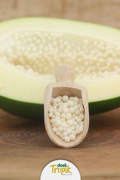 Dost Tropik Belek Yeşil Papaya Meyvesi 1 Kilogram