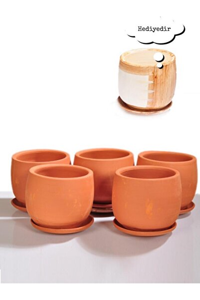 Cappadocia Pottery 5li Minik Boy Tabaklı Doğal Terleyen El Yapımı Çömlek Toprak Saksı Seti No.64