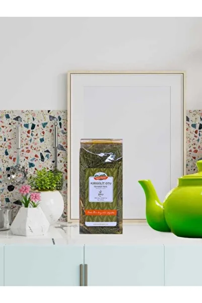Karşı Köyden Equisetum Arvense - 20 جرام من أربعينات، ذيل الحصان وعشب الحلق، عشب الزنبرك