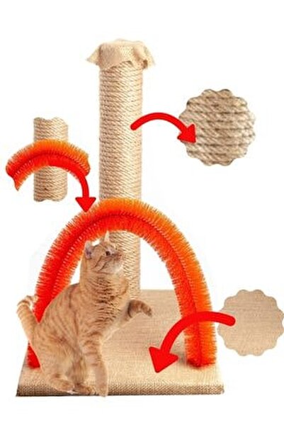 Bypet Kedi Tirmalama Ve Kasima Tahtasi Fiyati Yorumlari Trendyol