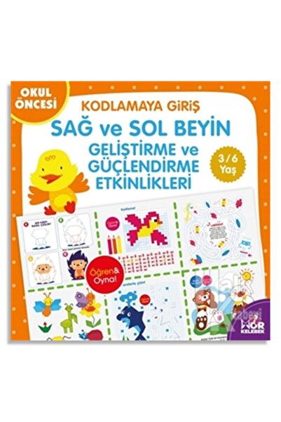 Halk Kitabevi Okul Öncesi Kodlamaya Giriş 3-6 Yaş Mor Kelebek: Sağ Ve Sol Bey...