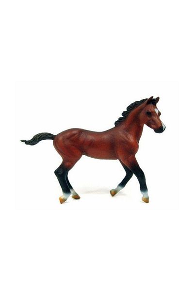 Collecta كوليكتا أمريكان ربع هريرة - أويونكاك (قطعة واحدة)