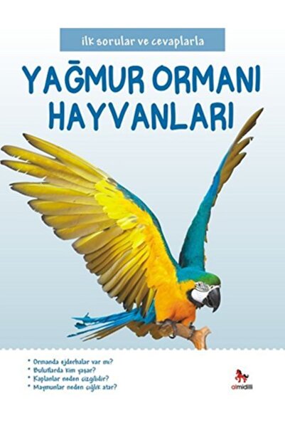 Almidilli Yayınları حيوانات الغابات المطيرة والأسئلة والأجوبة الأولى