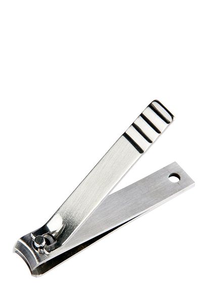 Lionesse Nail Studs