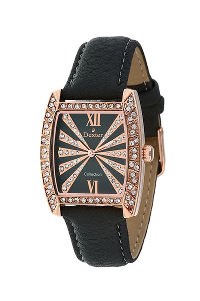 Dexter Women's Wristwatch DX.321.3RBS