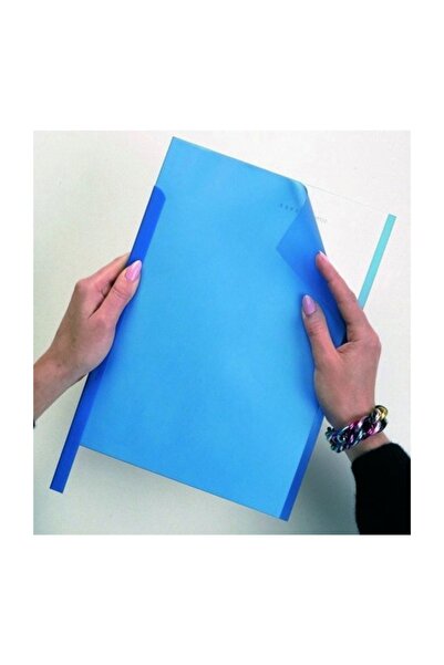 Durable Profil Sırtlık 3Mm - 30 Sayfa Kapasiteli 100'Lü - Şeffaf