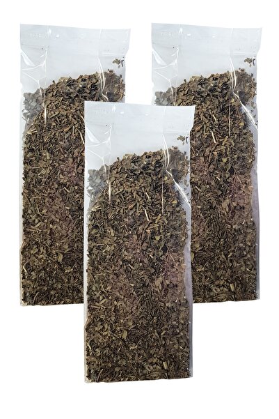 Zencefil Organik Fesleğen Bitkisi 3 Paket Yeşil Fesleğen Kurusu Yeşil Reyhan ...