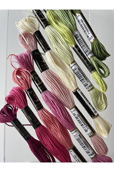 BibuPunch خيط تطريز Bibu Anchor Muline تم اختياره خصيصًا لظلال وردية وخضراء